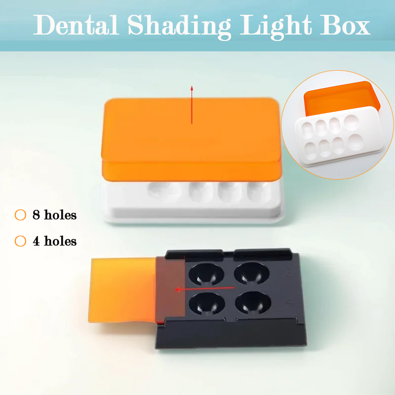 Resin Art Case - 4/8 Slot Dentale Resina Ombra Luce