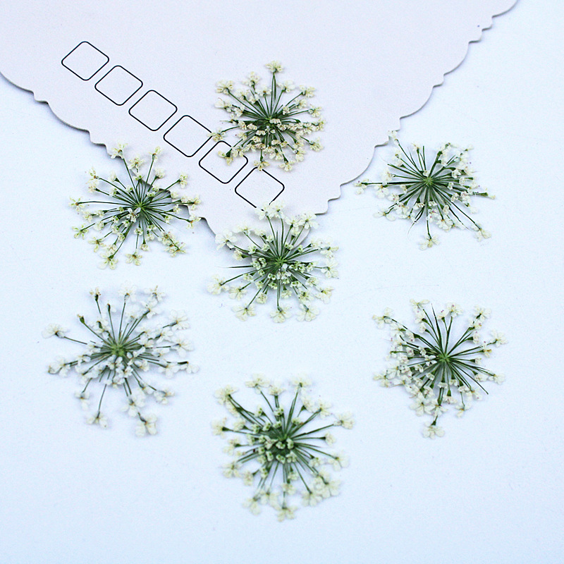 Resin Art Baby - 500 Pezzi Fiori di Pizzo, Fiori