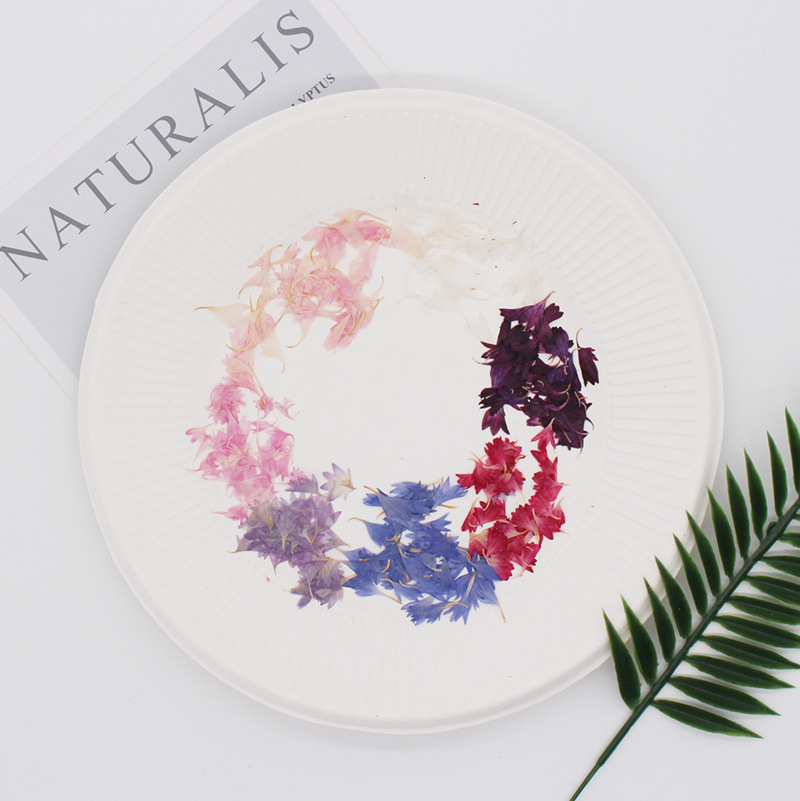20 Esemplari di Piante, Petali - Resin Art Baby recensione e prezzo