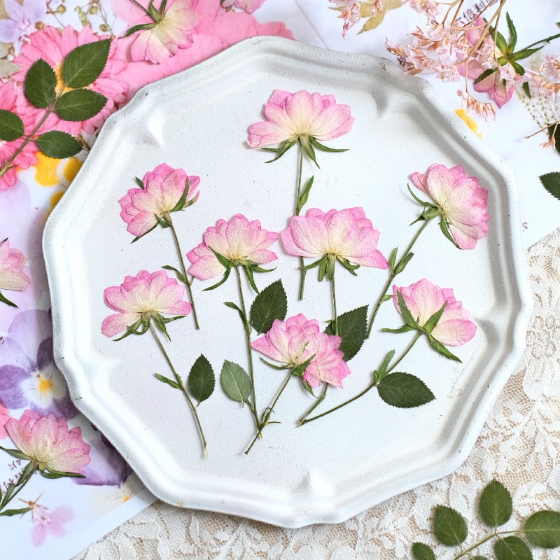 12 pezzi, Fiori Pressati Essic - Resin Art Baby recensione e prezzo