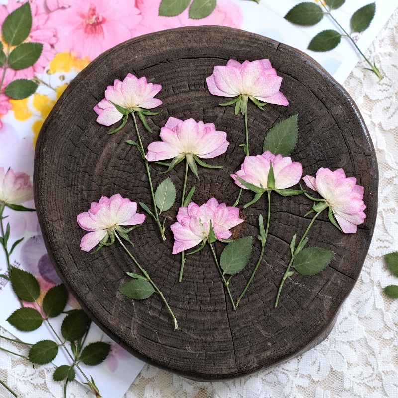 12 pezzi, Fiori Pressati Essic - Resin Art Baby recensione e prezzo