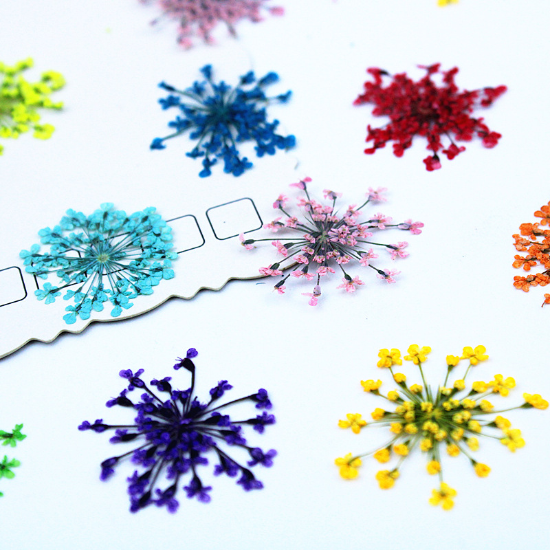 500 Pezzi Fiori di Pizzo, Fior - Resin Art Baby recensione e prezzo