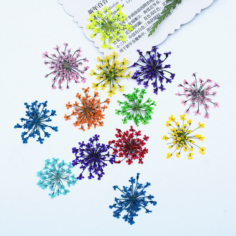 500 Pezzi Fiori di Pizzo, Fior - Resin Art Baby recensione e prezzo